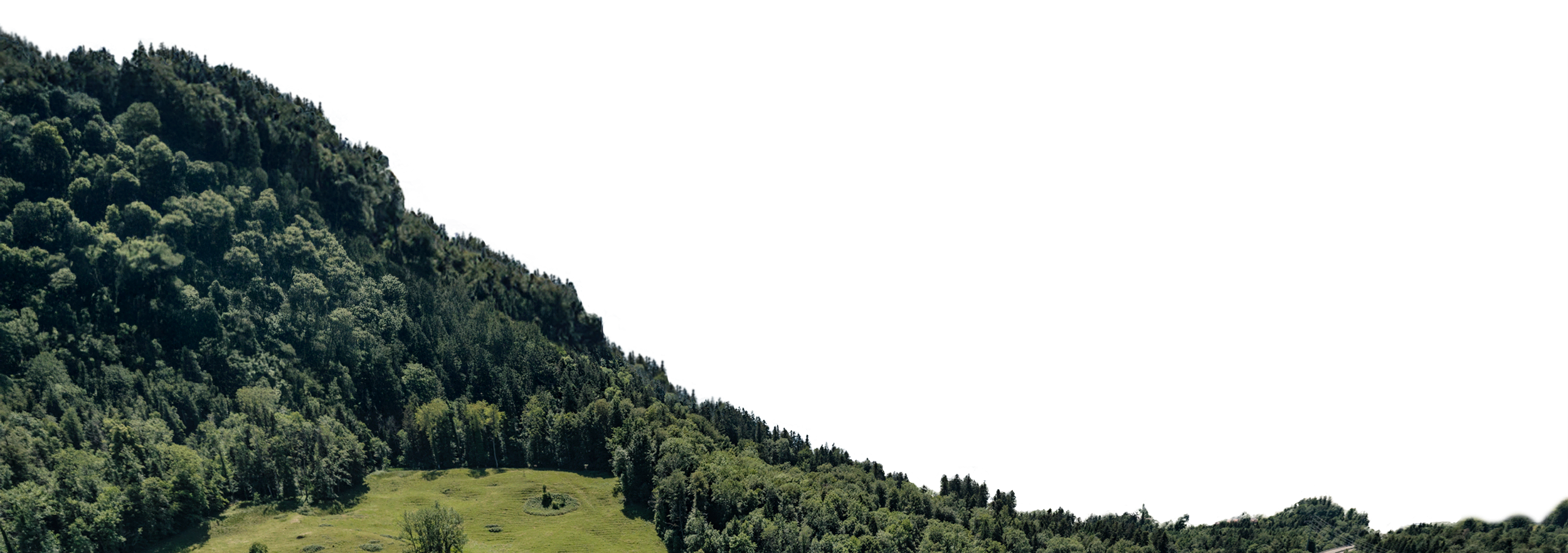 bg image