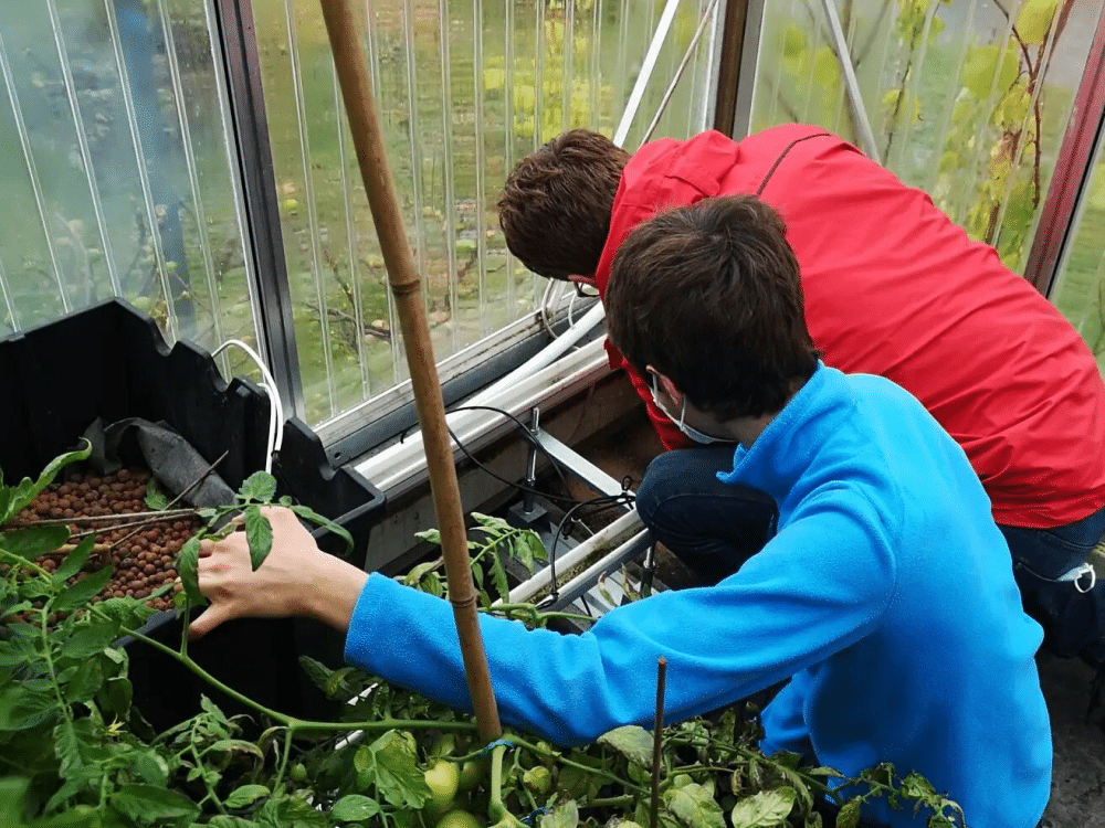 Students planting seedlings in the school’s aquaponics garden as part of their sustainability programme.