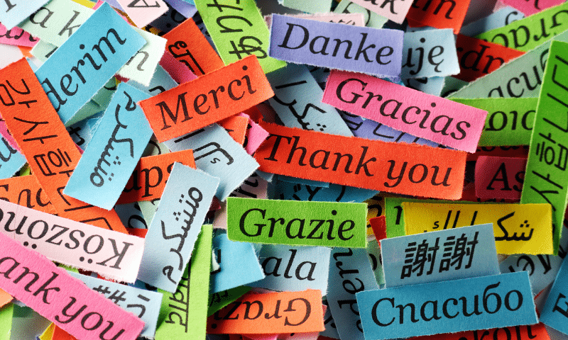 Words “thank you” in multiple languages, celebrating linguistic diversity