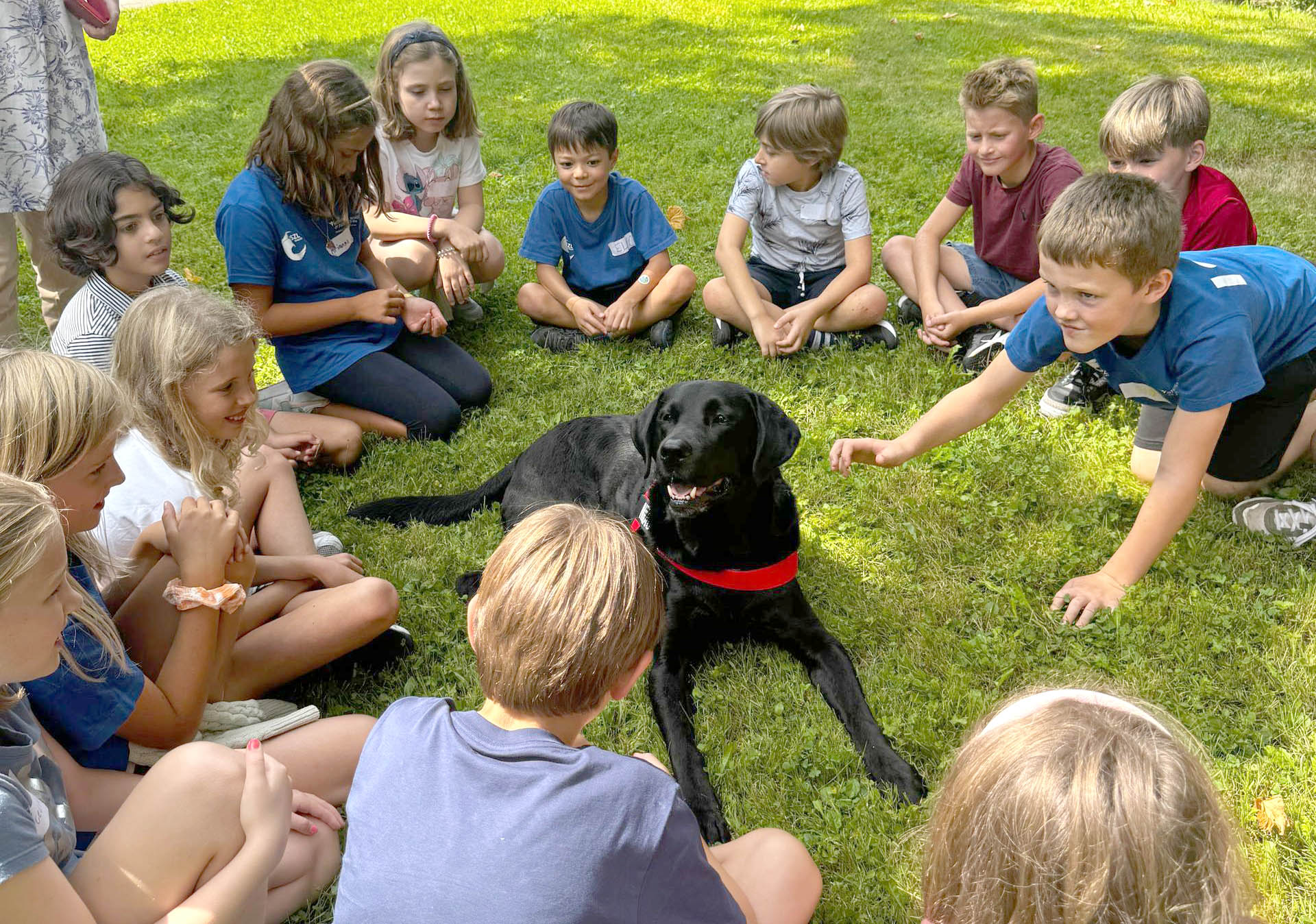 Nikau, the campus dog, spending time with primary school children.