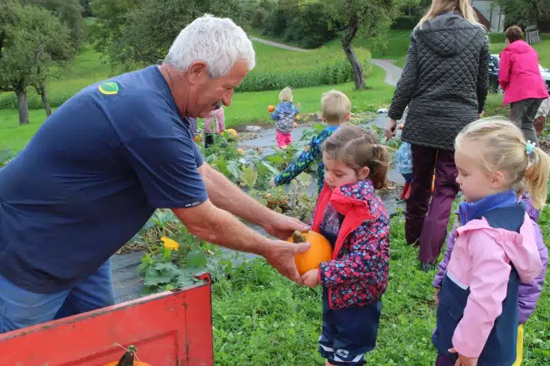 Teacher and children participating in an outdoor activity, exploring nature together.