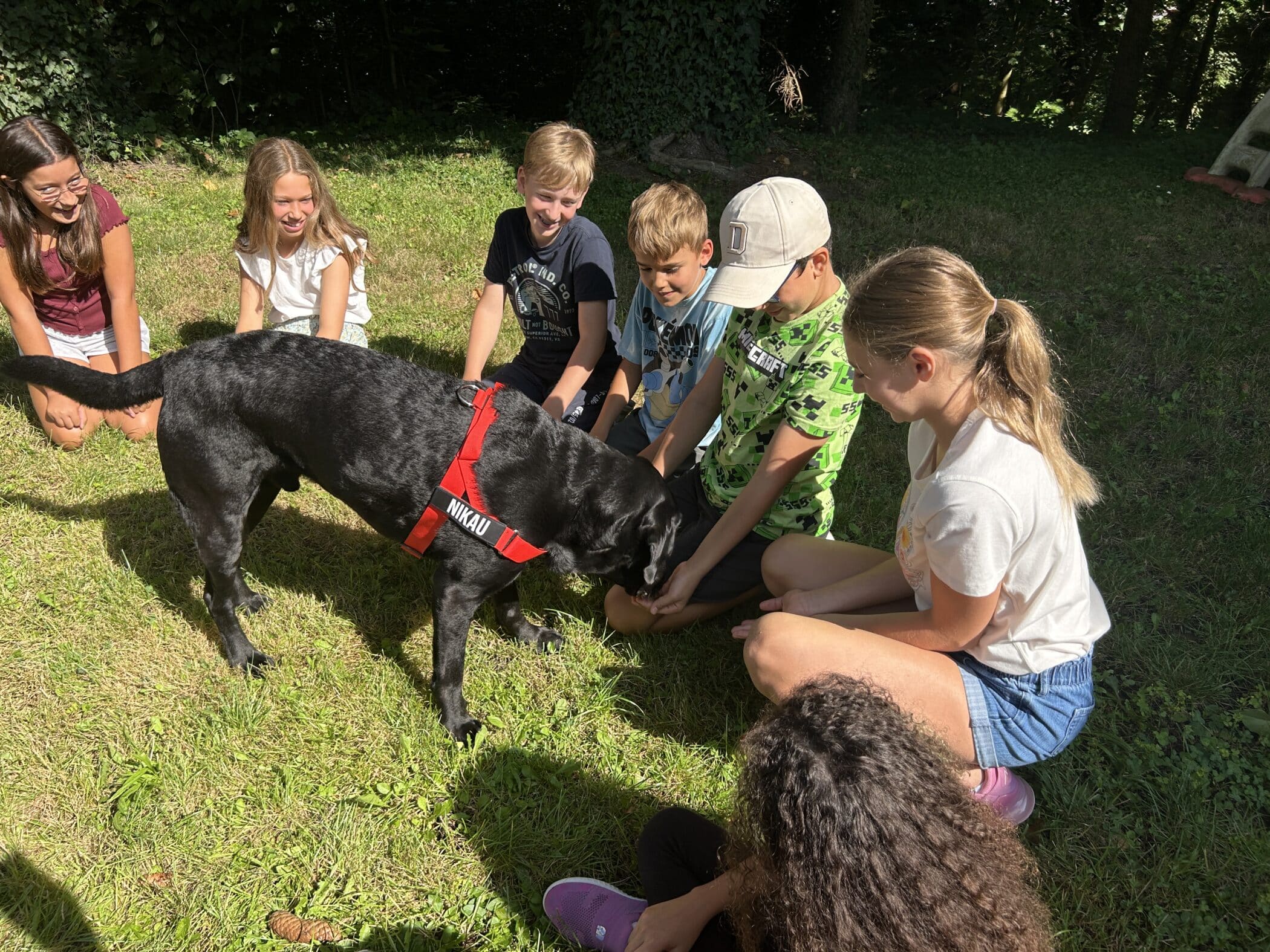 Nikau, the campus dog, with school children.