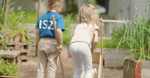 primary students gardening