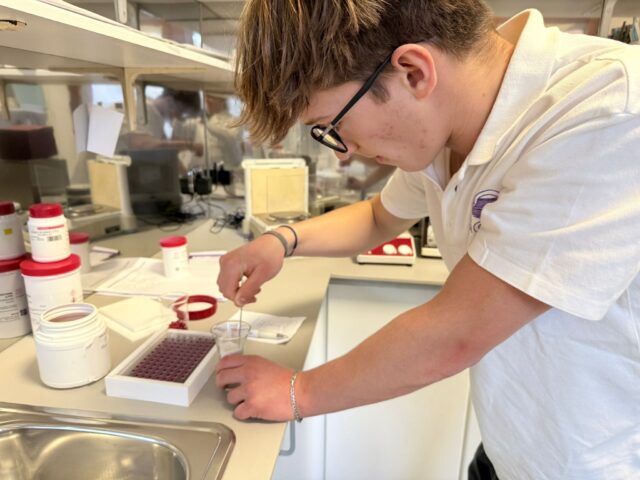 A student in a white polo shirt stands behind the counter of a pharmacy, writing on a label or receipt. Shelves behind him are stocked with skincare products, medicines, and health items, and a display of boxed products lines the front of the counter.