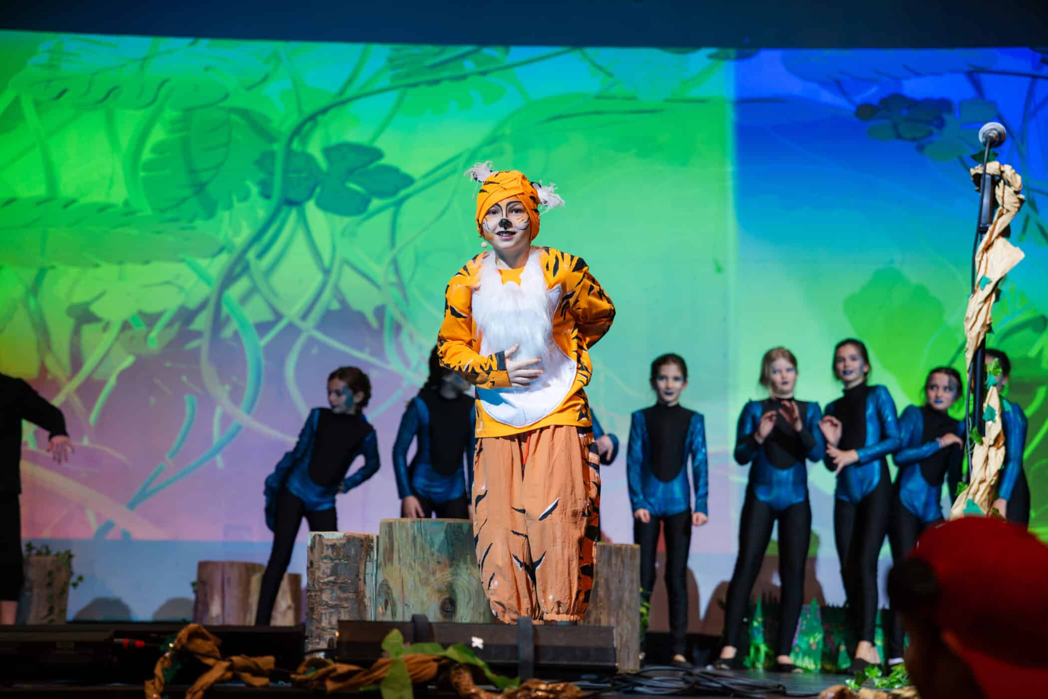 primary school musical performance of Jungle book