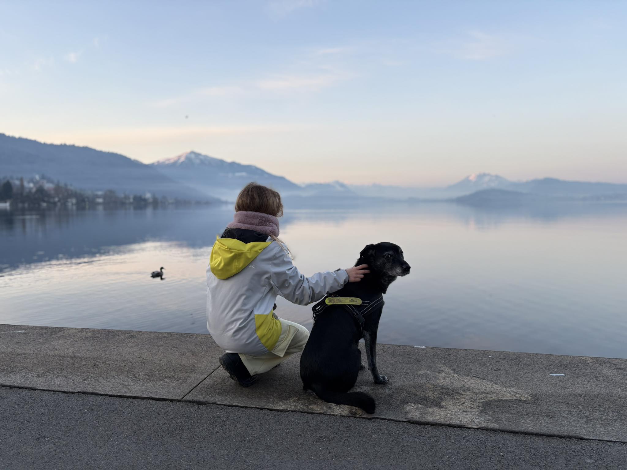 A child kneels beside a black dog on a lakeside path, gently petting it while looking out over calm water with mountains in the distance.