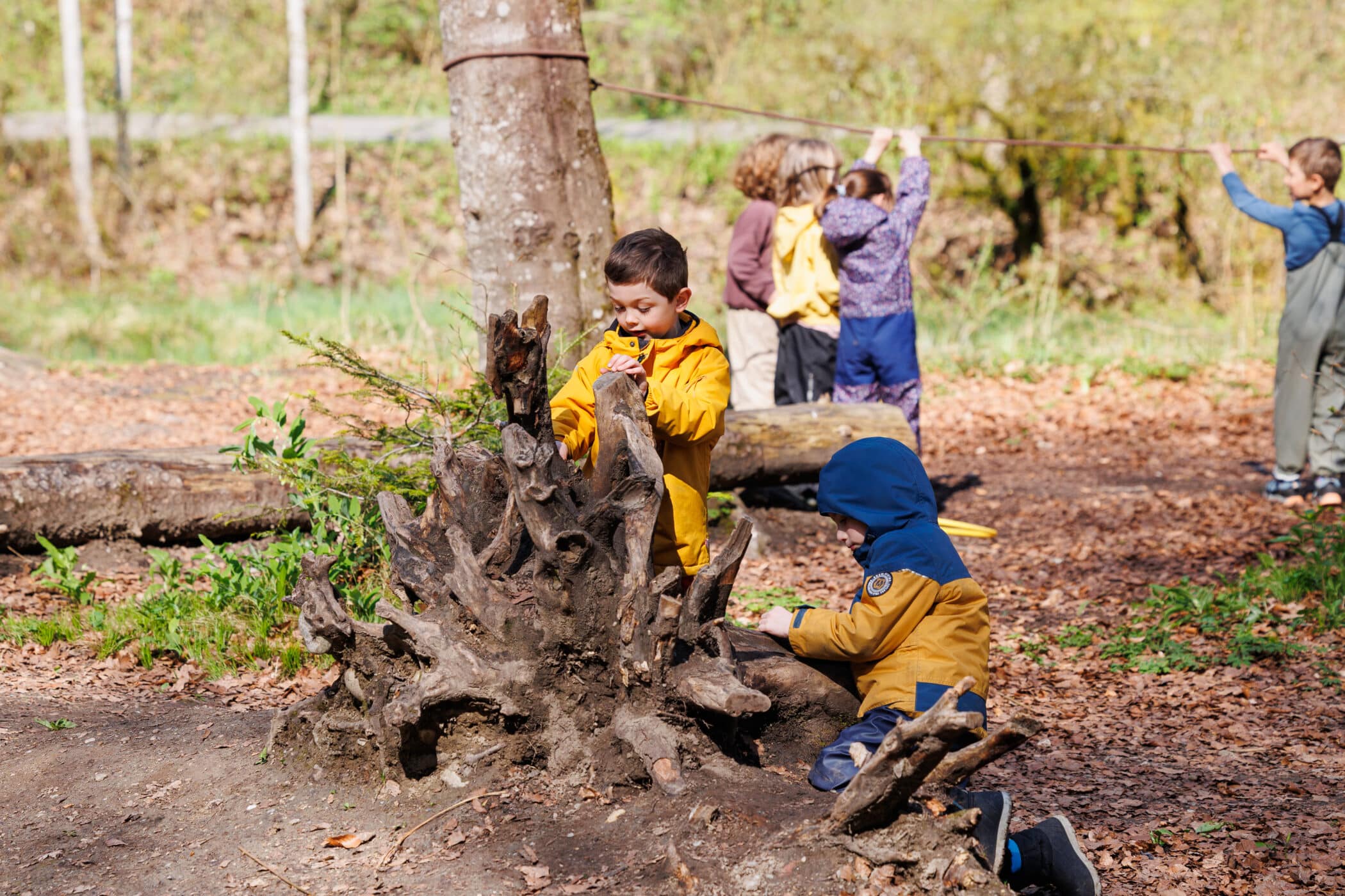 students learning in the forest at iszl